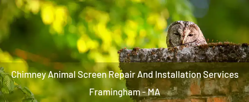  Chimney Animal Screen Repair And Installation Services Framingham - MA