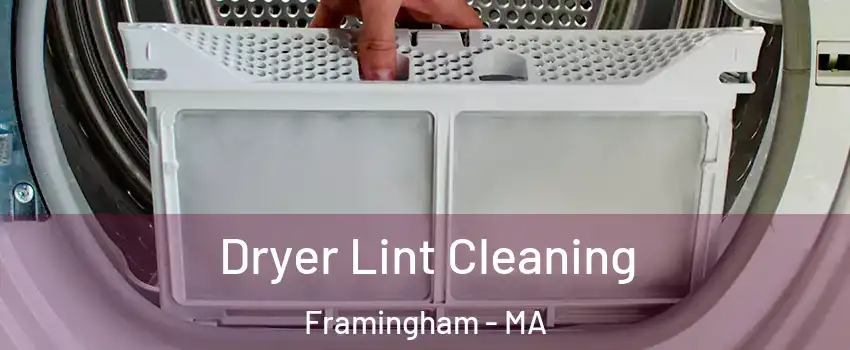  Dryer Lint Cleaning Framingham - MA