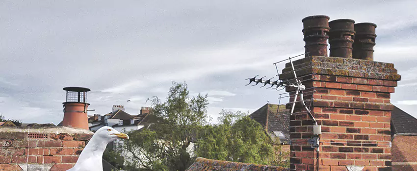 Chimney Cleaning And Restoration in Framingham, Massachusetts