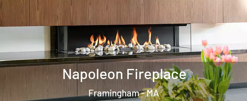  Napoleon Fireplace Framingham - MA