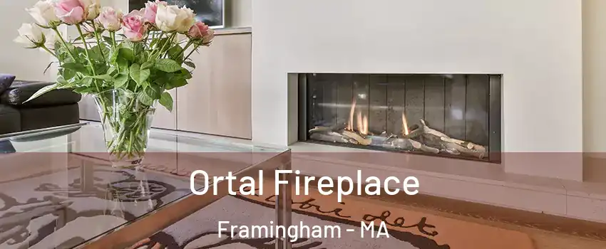 Ortal Fireplace Framingham - MA